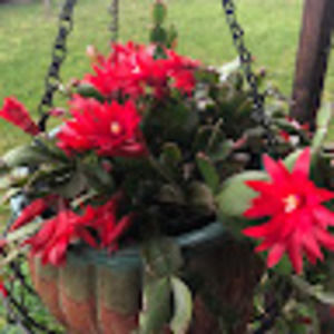 Meet your Posher, Lyn